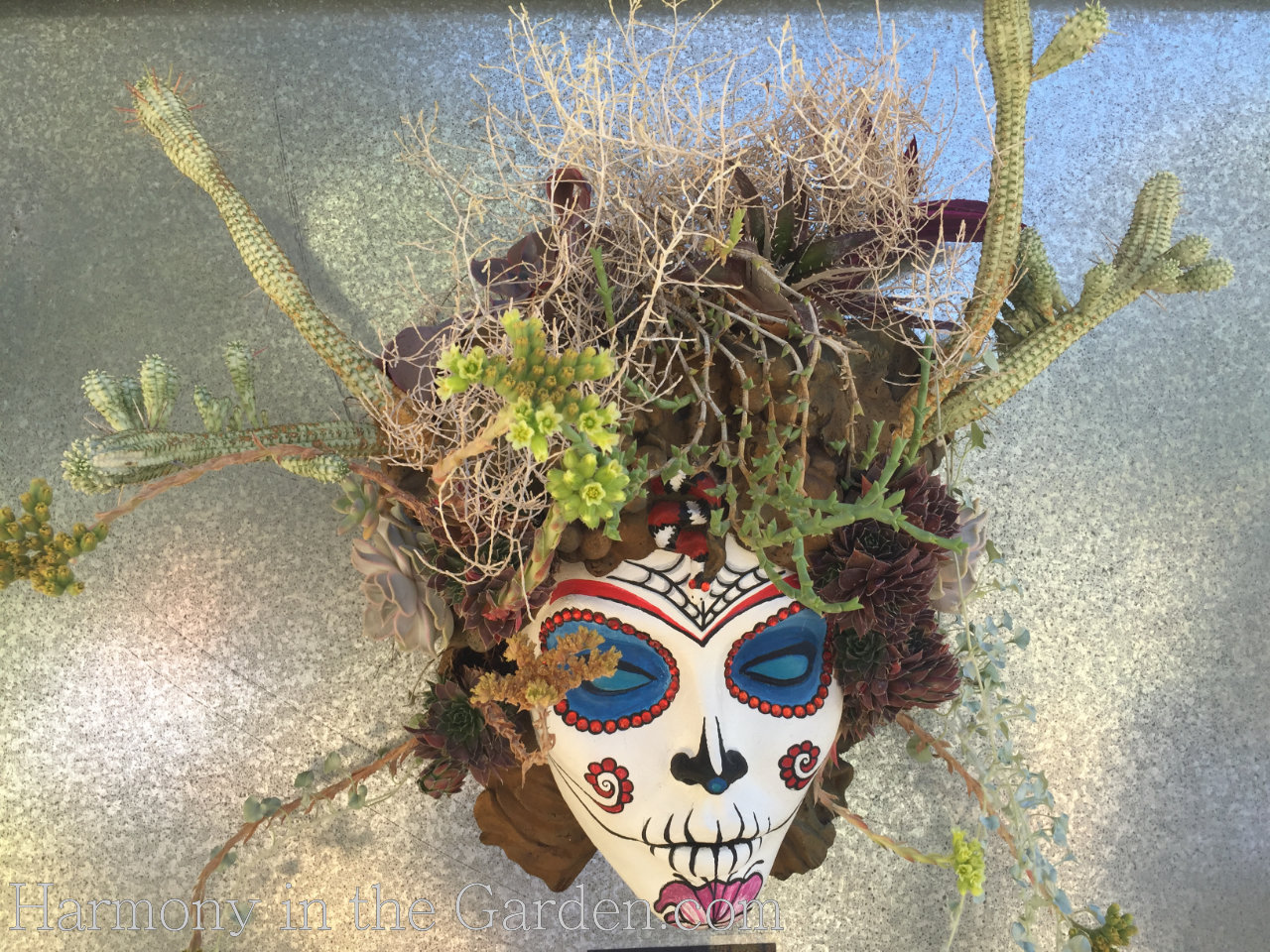 Freaky, Creepy Plants for Halloween - Harmony in the Garden