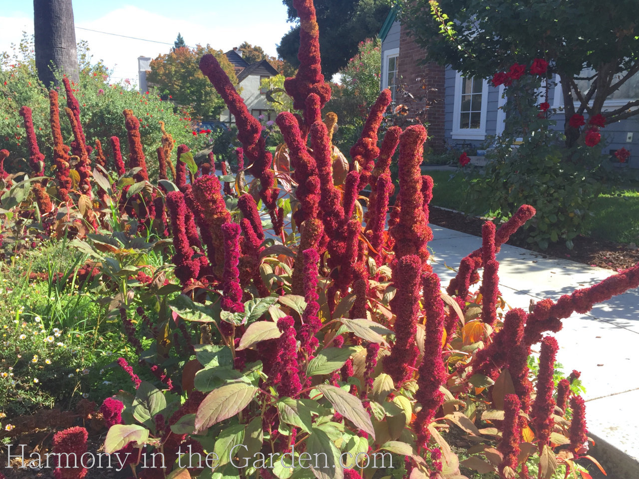 freaky creepy plants