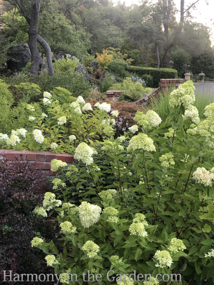 front entry garden