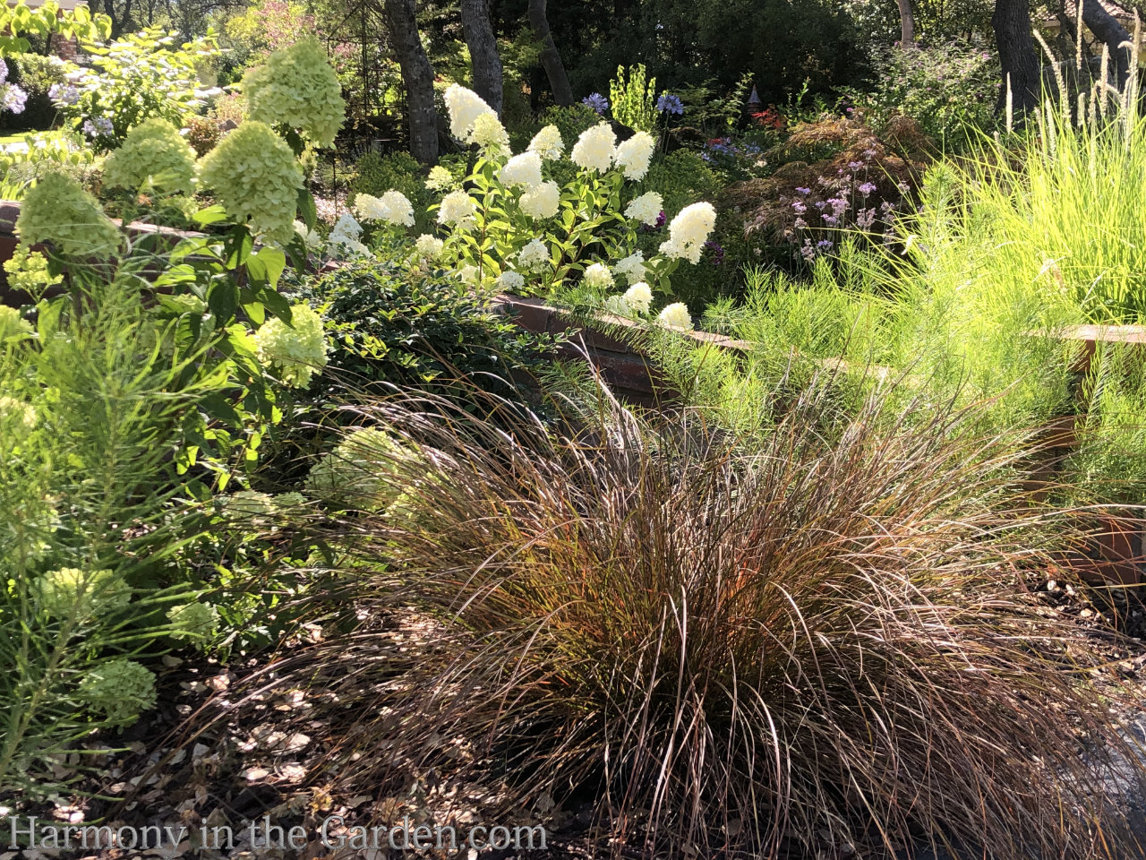 front entry garden makeover