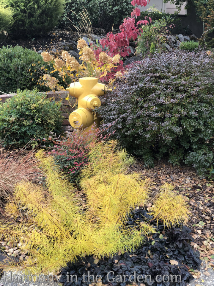 front entry garden