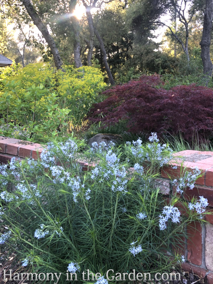 front entry garden makeover