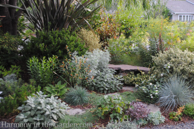 Drab to Fab – My Front Entry Garden Makeover - Harmony in the Garden