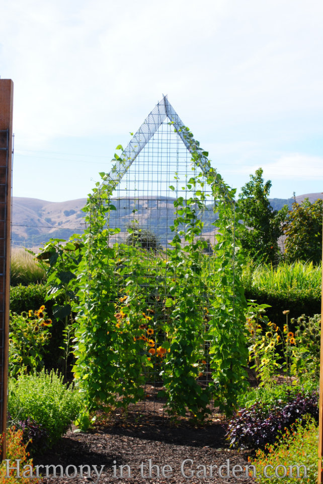 four season structure with trellises tuteurs obelisks