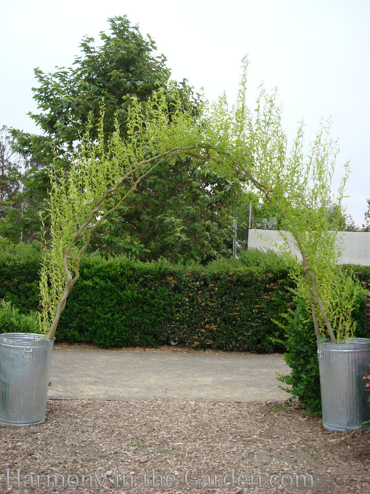 four season structure with trellises tuteurs obelisks