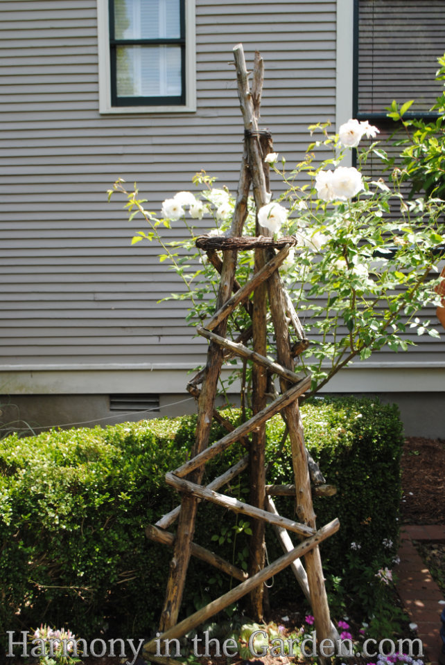 four season structure with trellises tuteurs obelisks