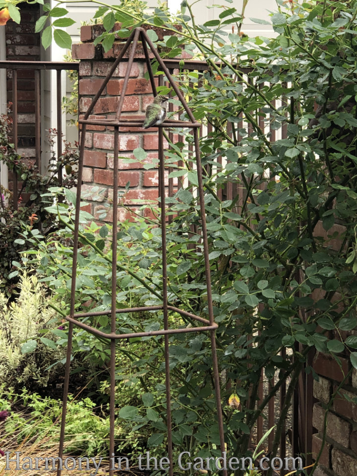 four season structure with trellises tuteurs obelisks