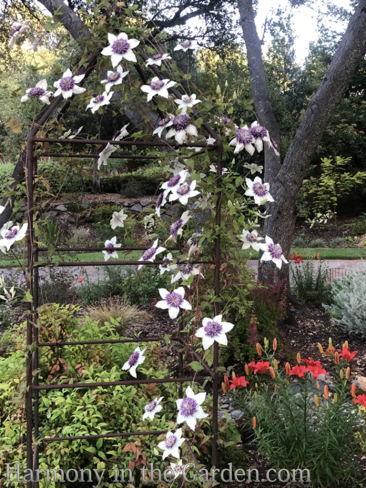 Trellises, Obelisks, Tuteurs