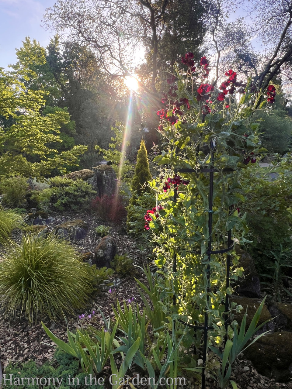 garden gifts