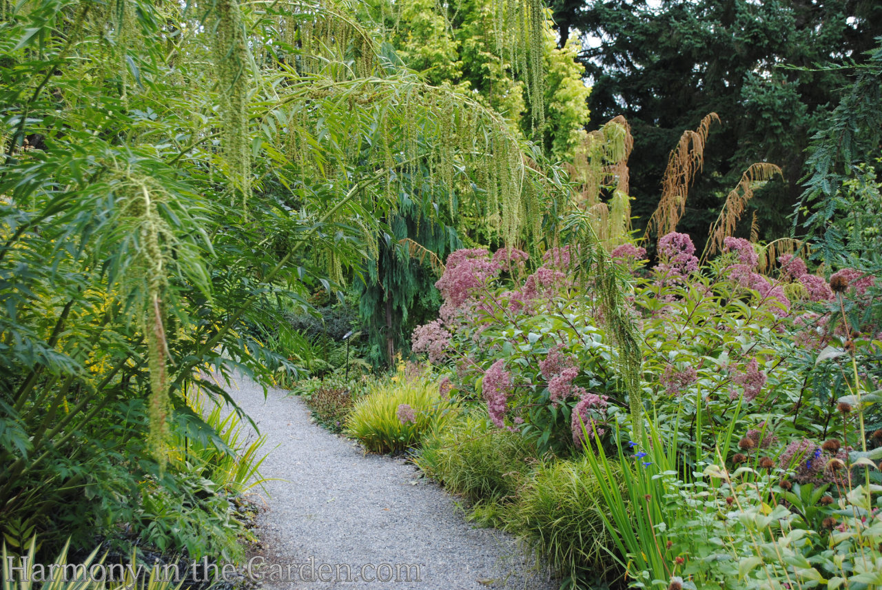 Adding height with flowering, towering plants