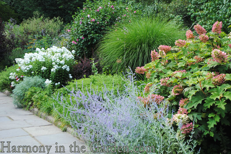 Adding height with flowering, towering plants