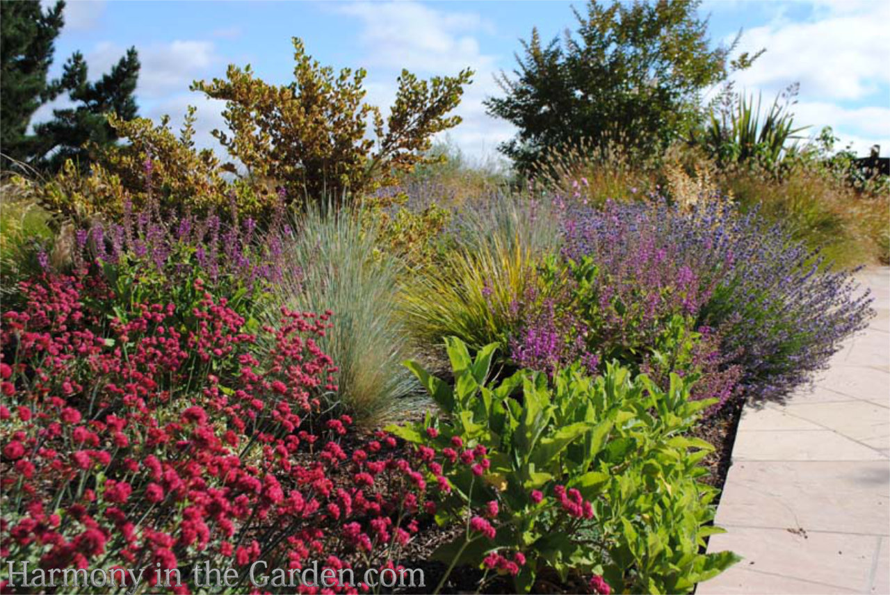 Top 30 Native Plants