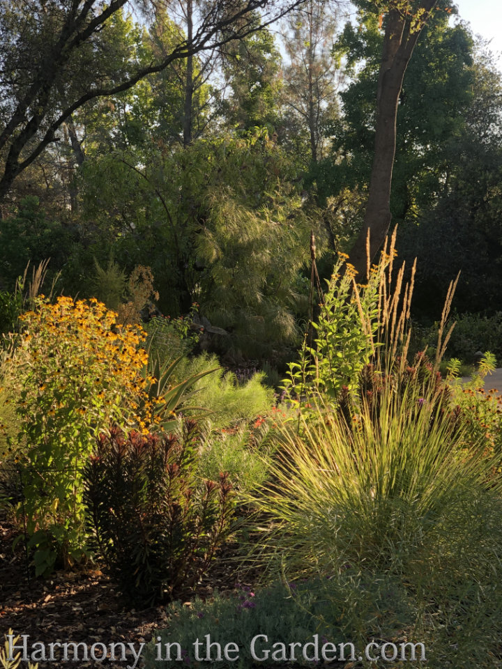 Adding height with flowering, towering plants