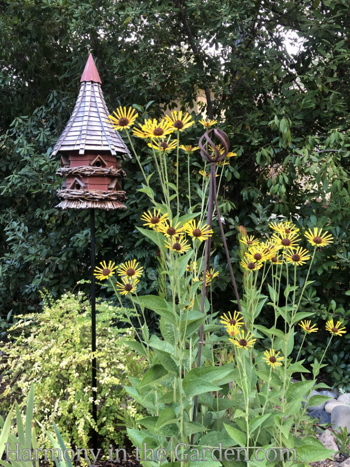 Adding height with flowering, towering plants