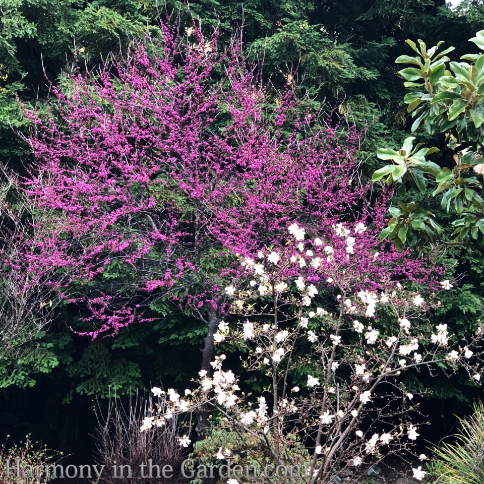 https://harmonyinthegarden.com/sacramento-historic-cemeterys-rose-native-perennial-gardens/