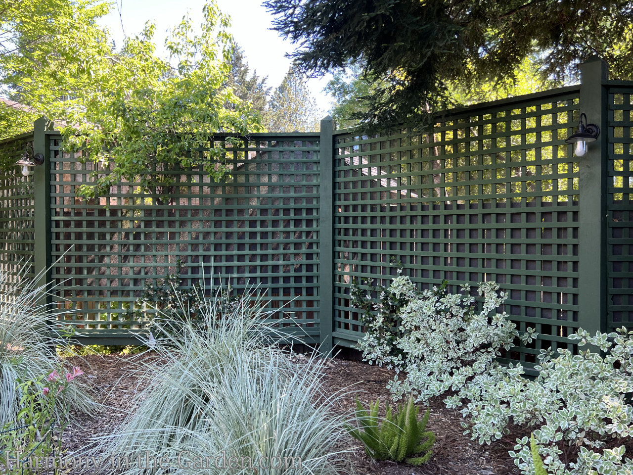 landscaping privacy