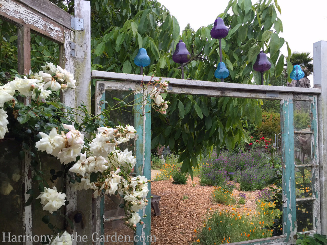 landscaping for privacy