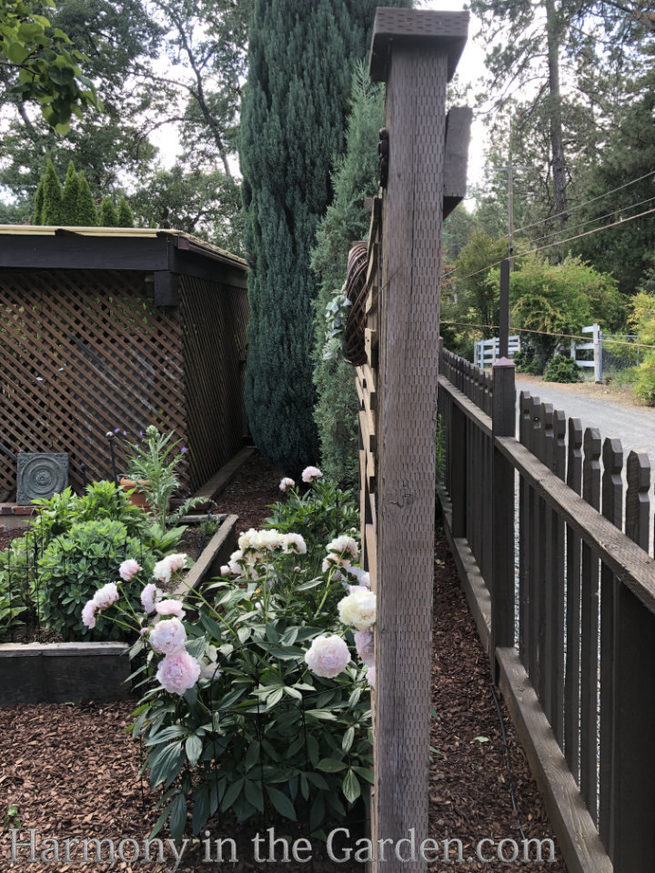 landscaping for privacy