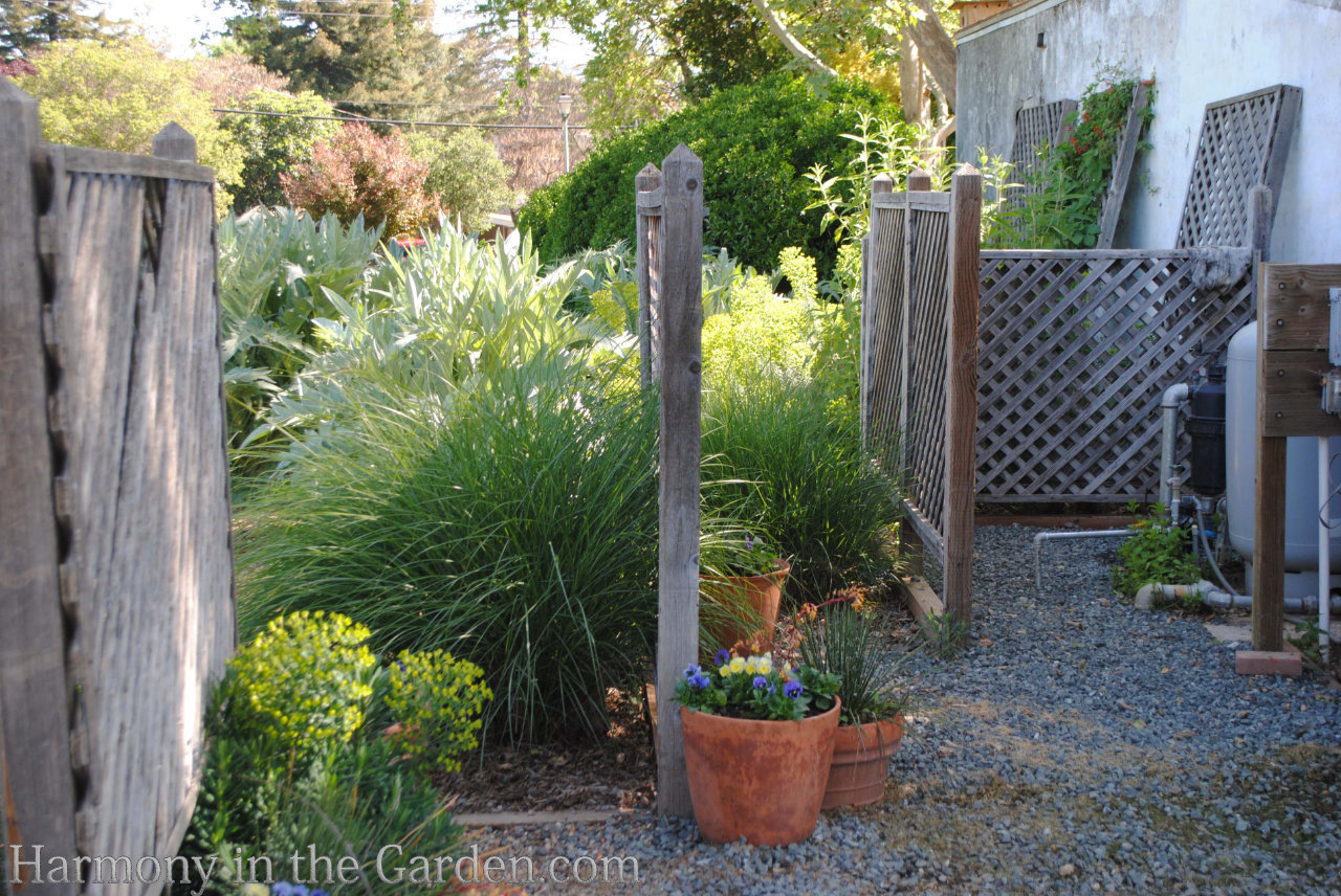 landscaping for privacy