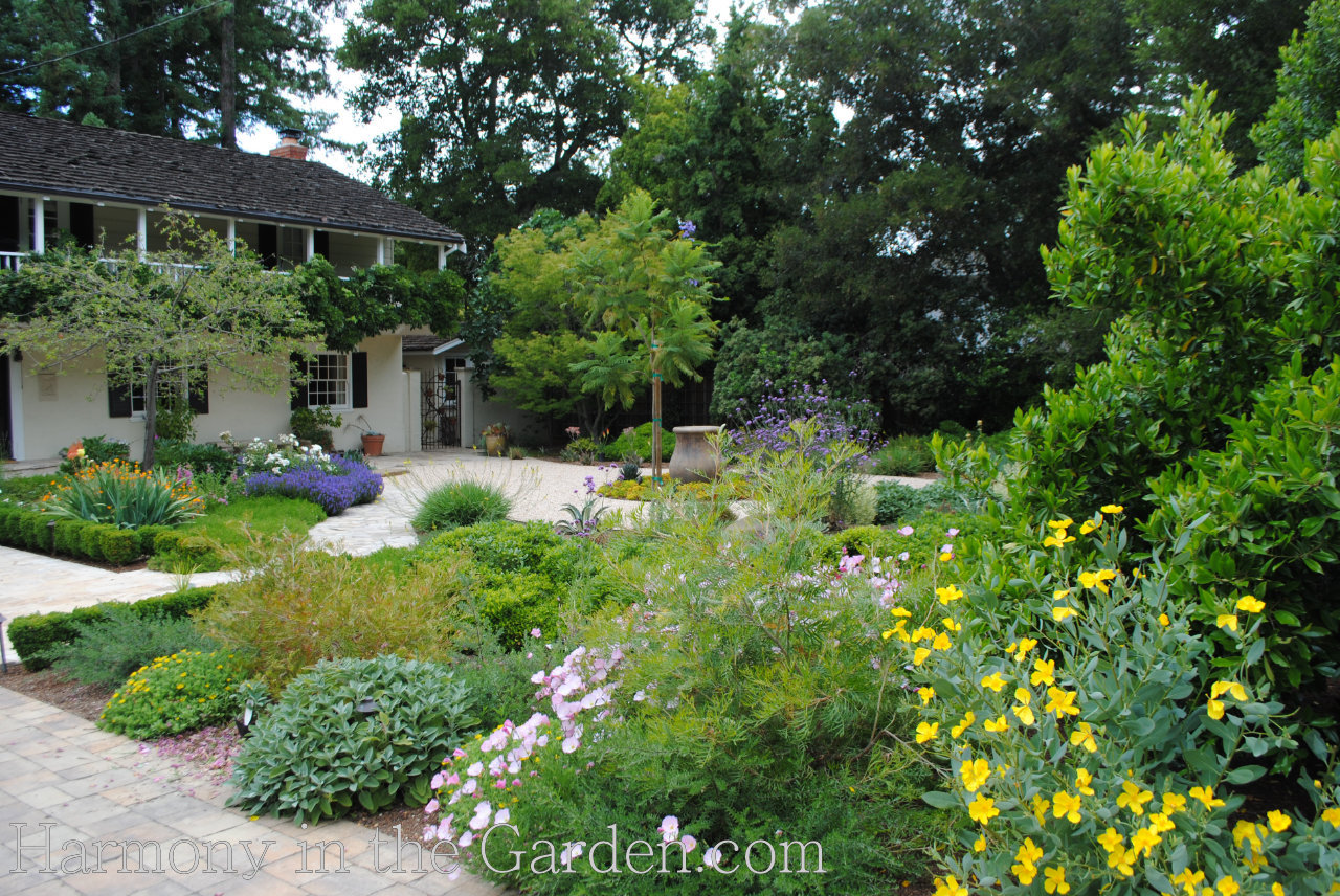 lawn-free garden