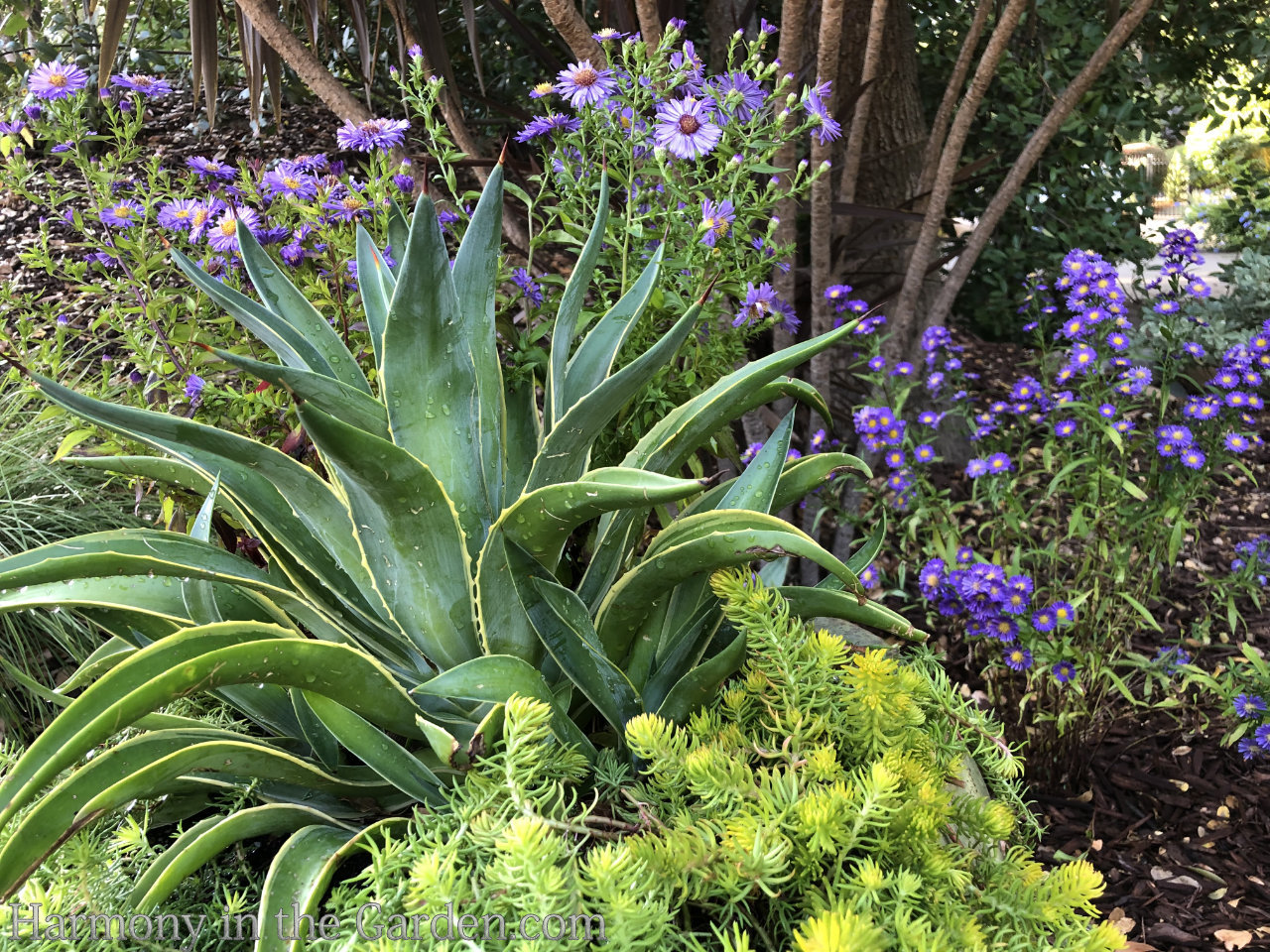 GV Gardeners: White fluff floating in late autumn air, Get Out