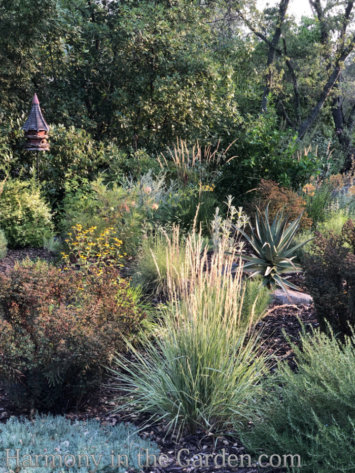 Designing with Ornamental Grasses