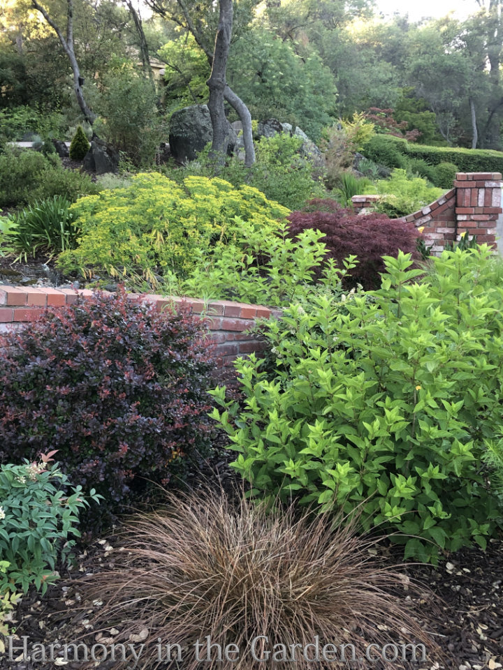 Designing with Ornamental Grasses