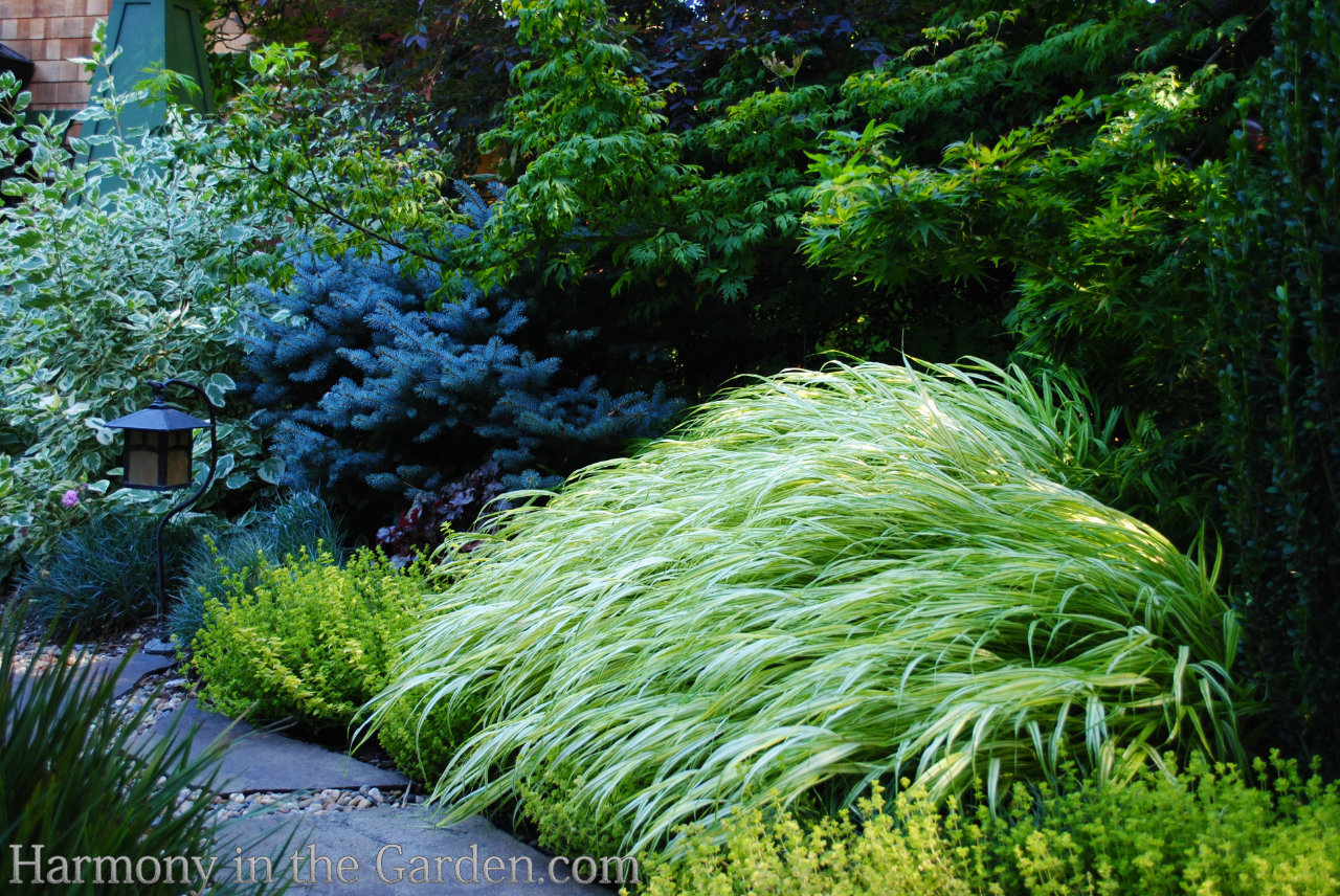 Designing with Ornamental Grasses