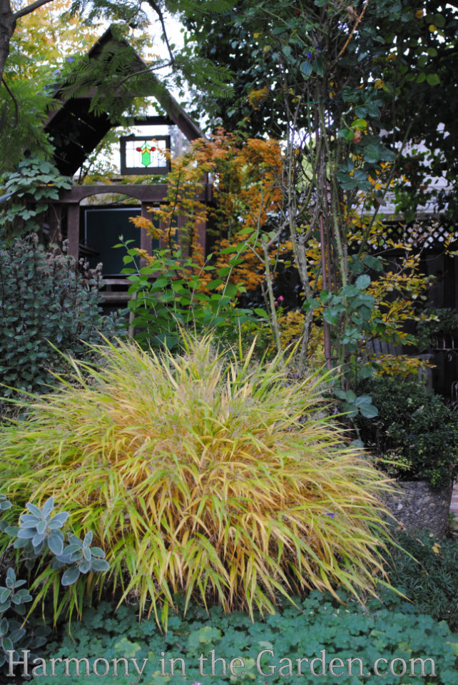 Designing with Ornamental Grasses