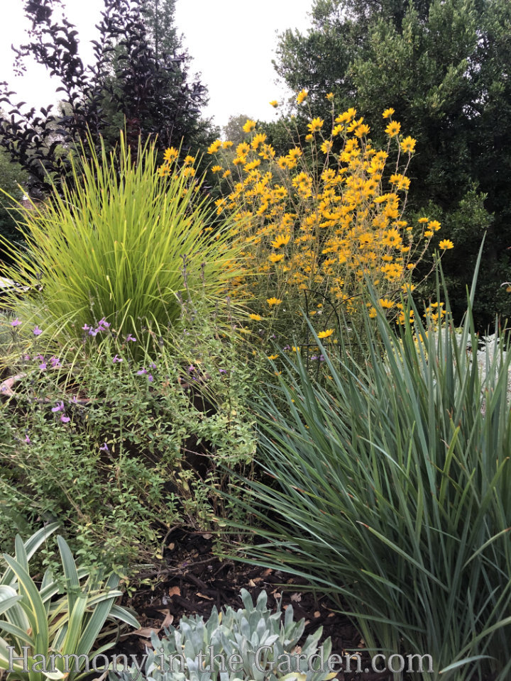 Designing with Ornamental Grasses