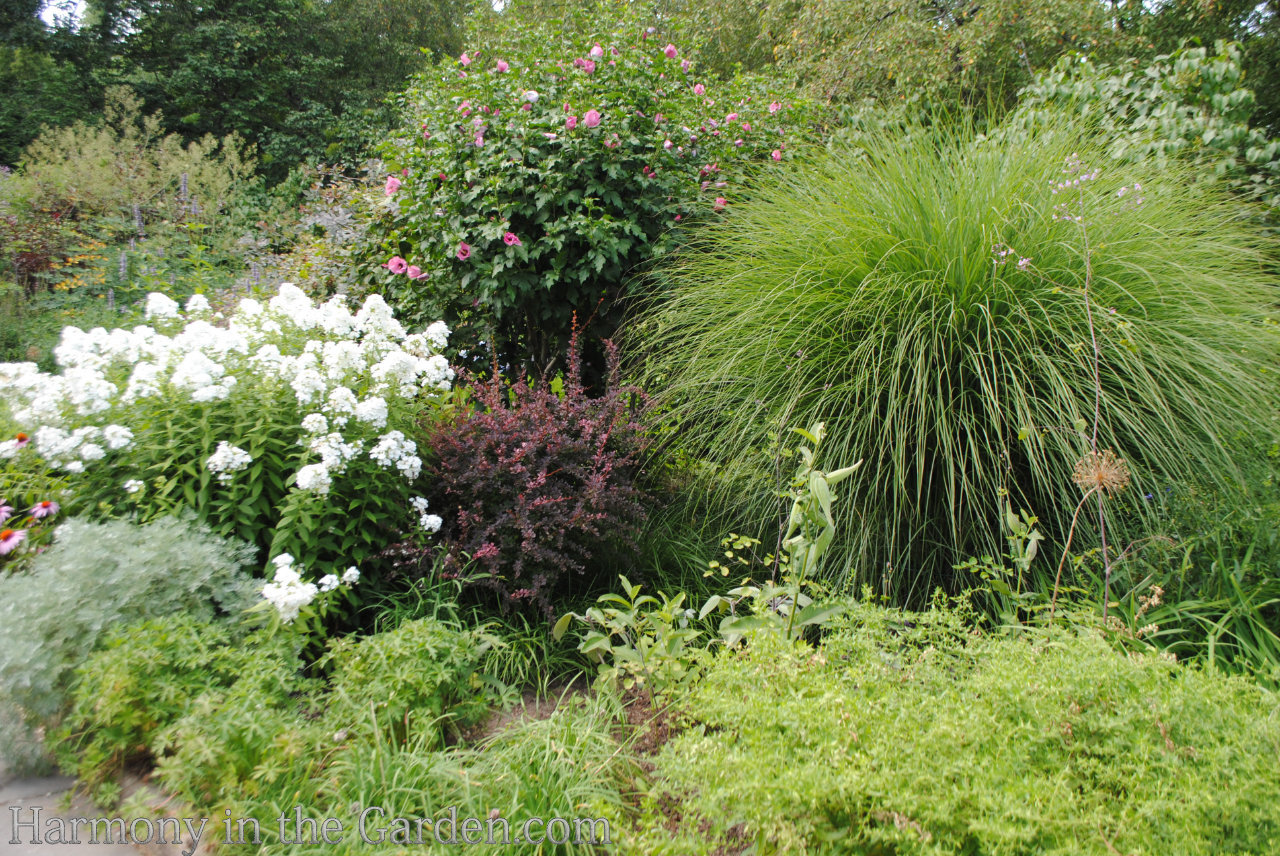 Designing with Ornamental Grasses