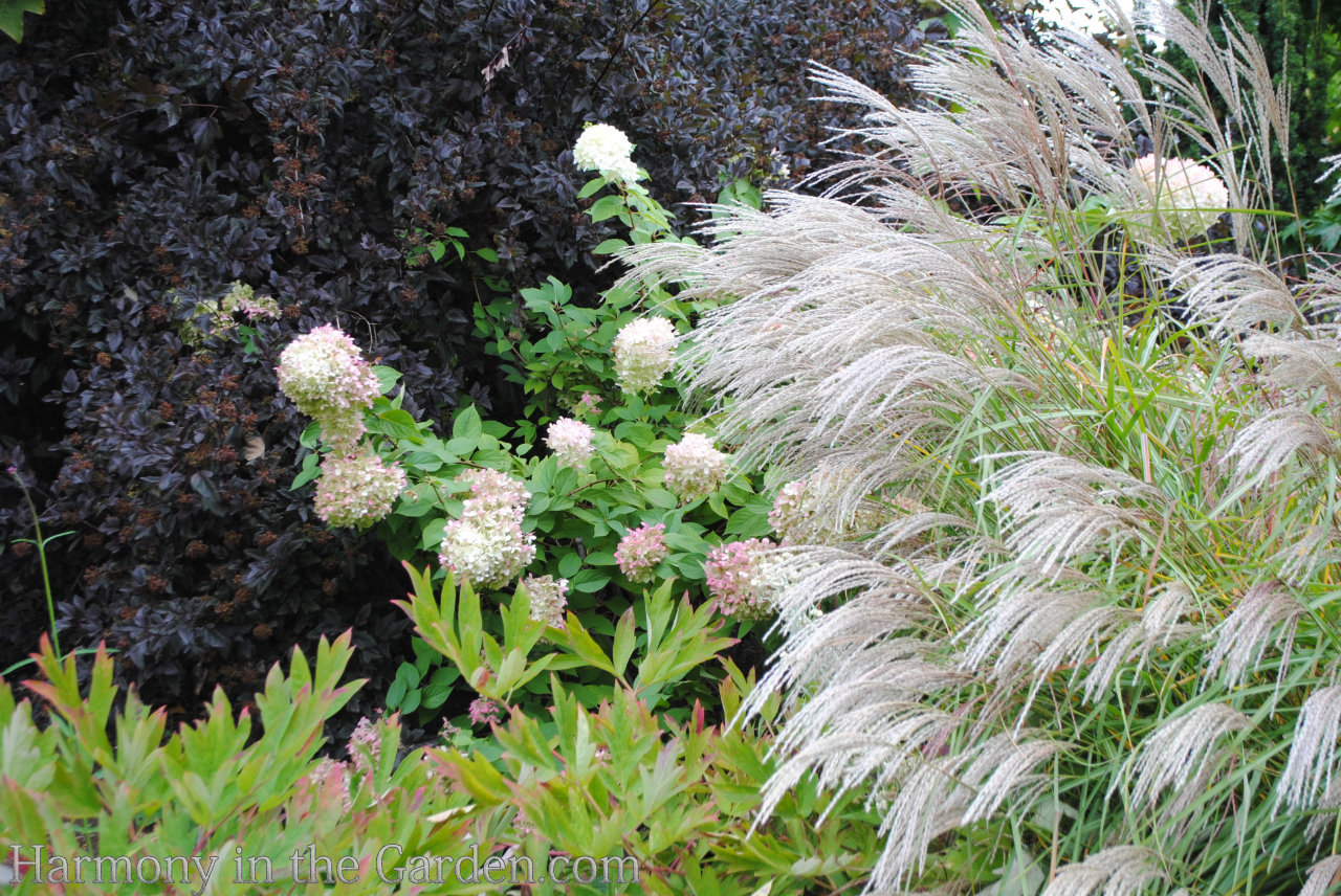 Designing with Ornamental Grasses