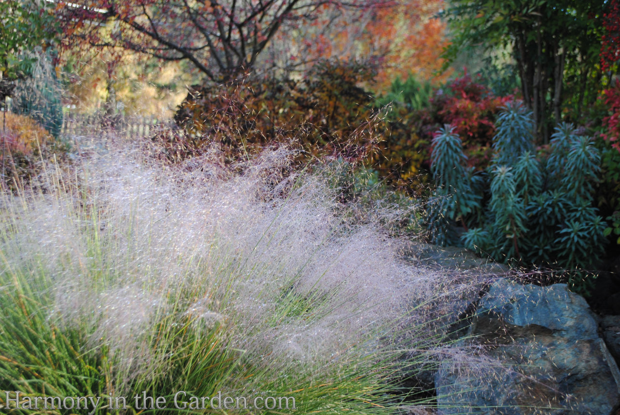 Designing with Ornamental Grasses