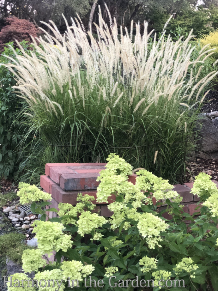 Designing with Ornamental Grasses