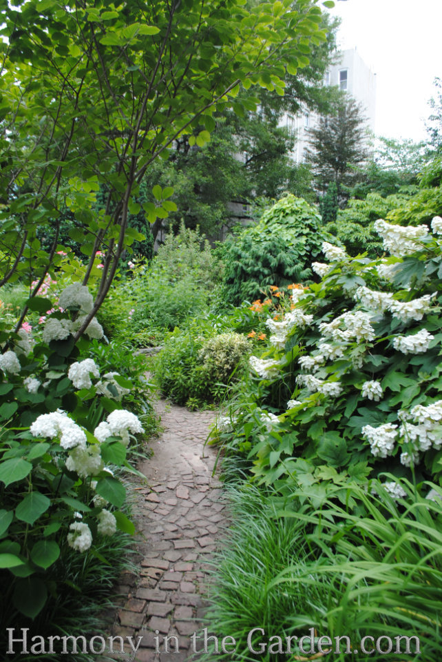 white in the garden