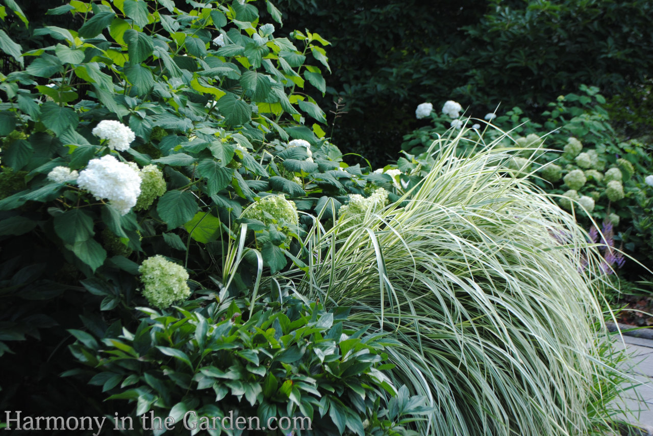 How to use white in the garden