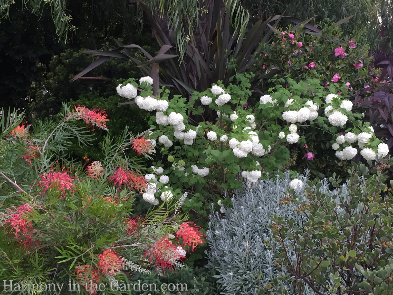 using white in the garden