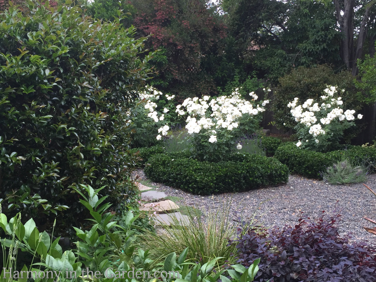 How to use white in the garden