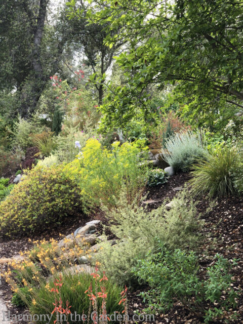 Designing a Barren Berm - Harmony in the Garden