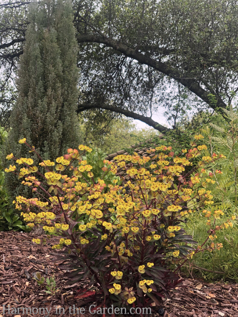 Designing a barren berm