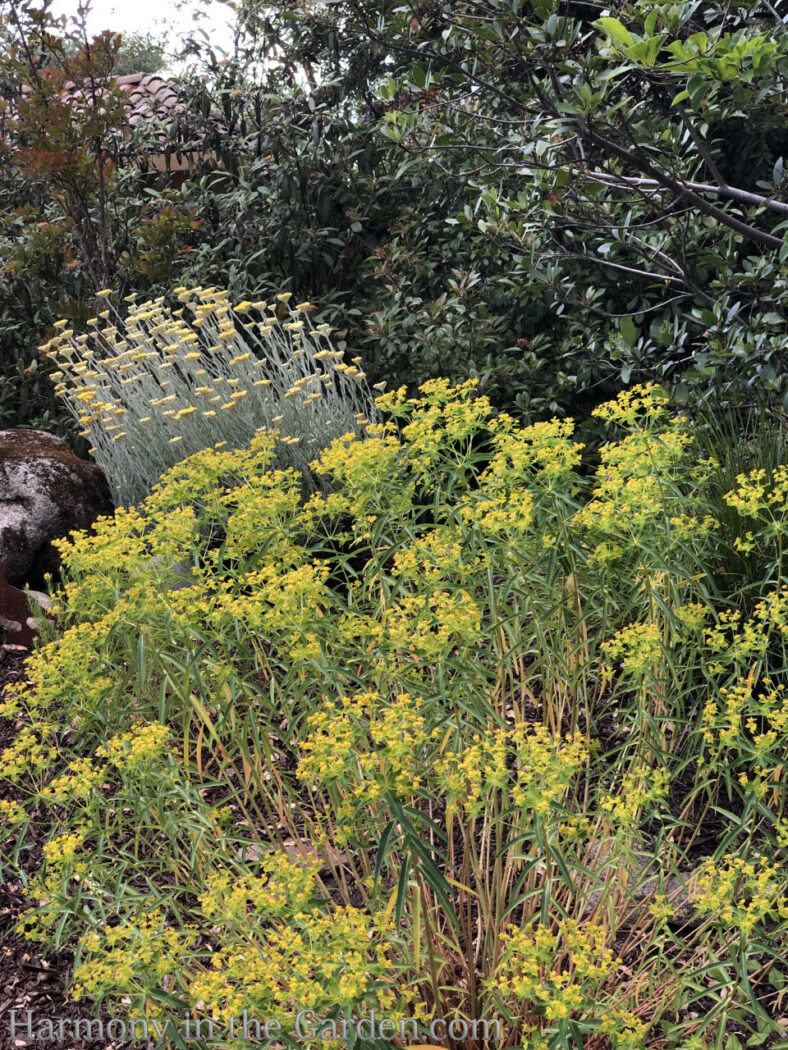 Designing a barren berm