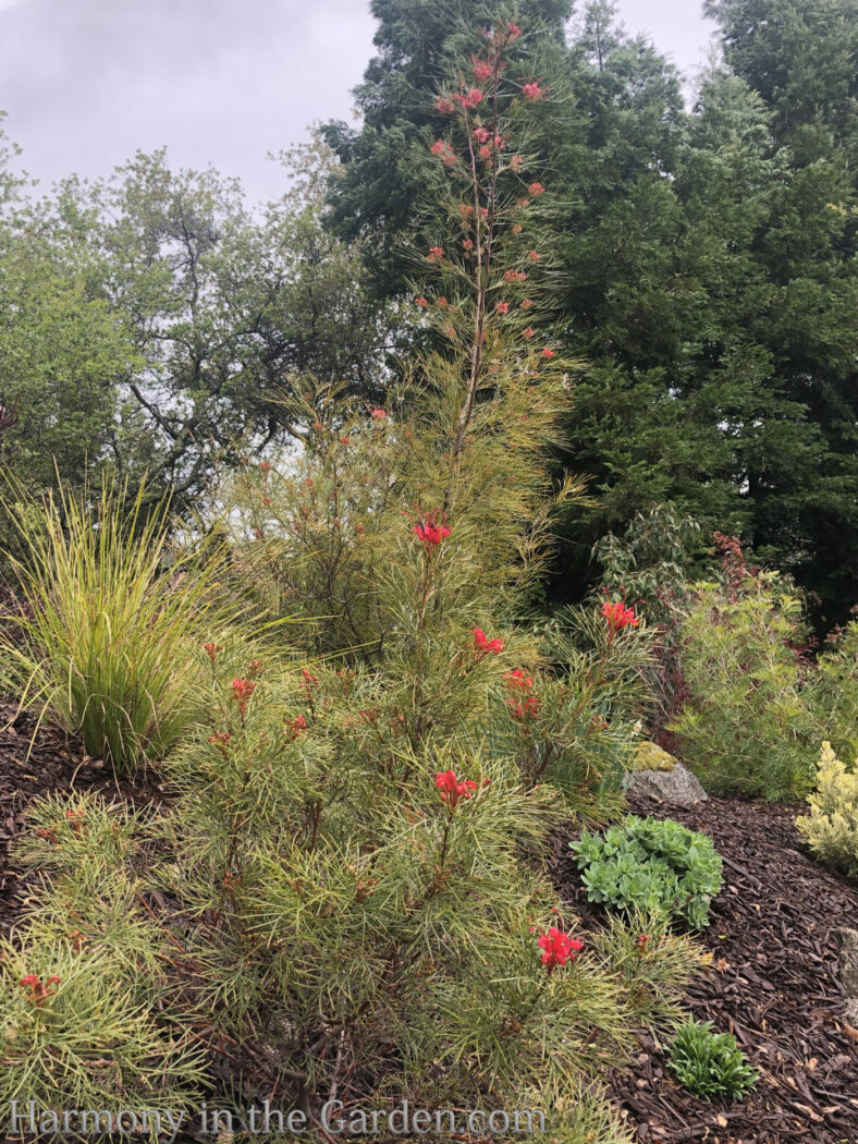 Designing a barren berm