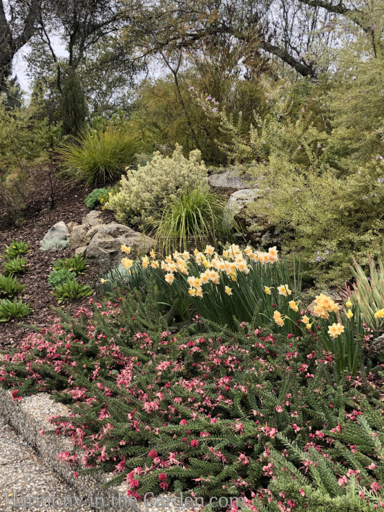 Designing a barren berm