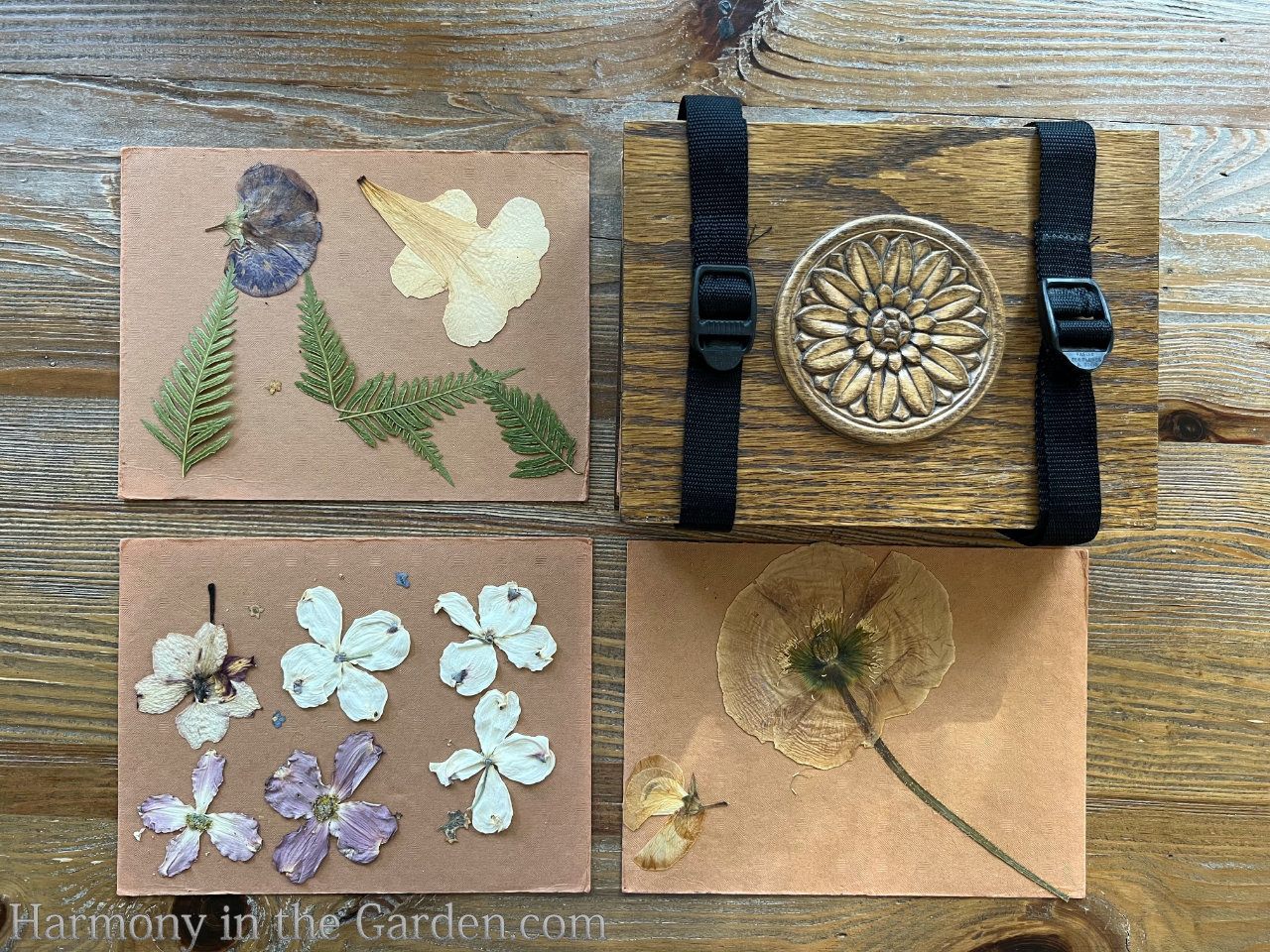 pressed flowers