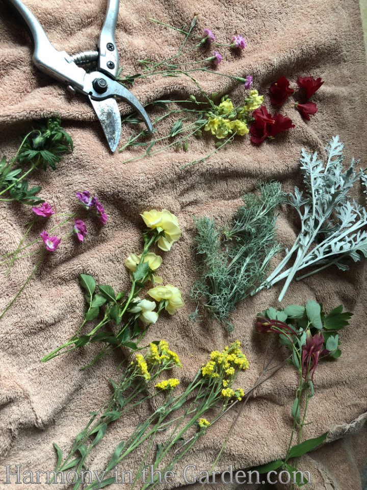 pressed flowers