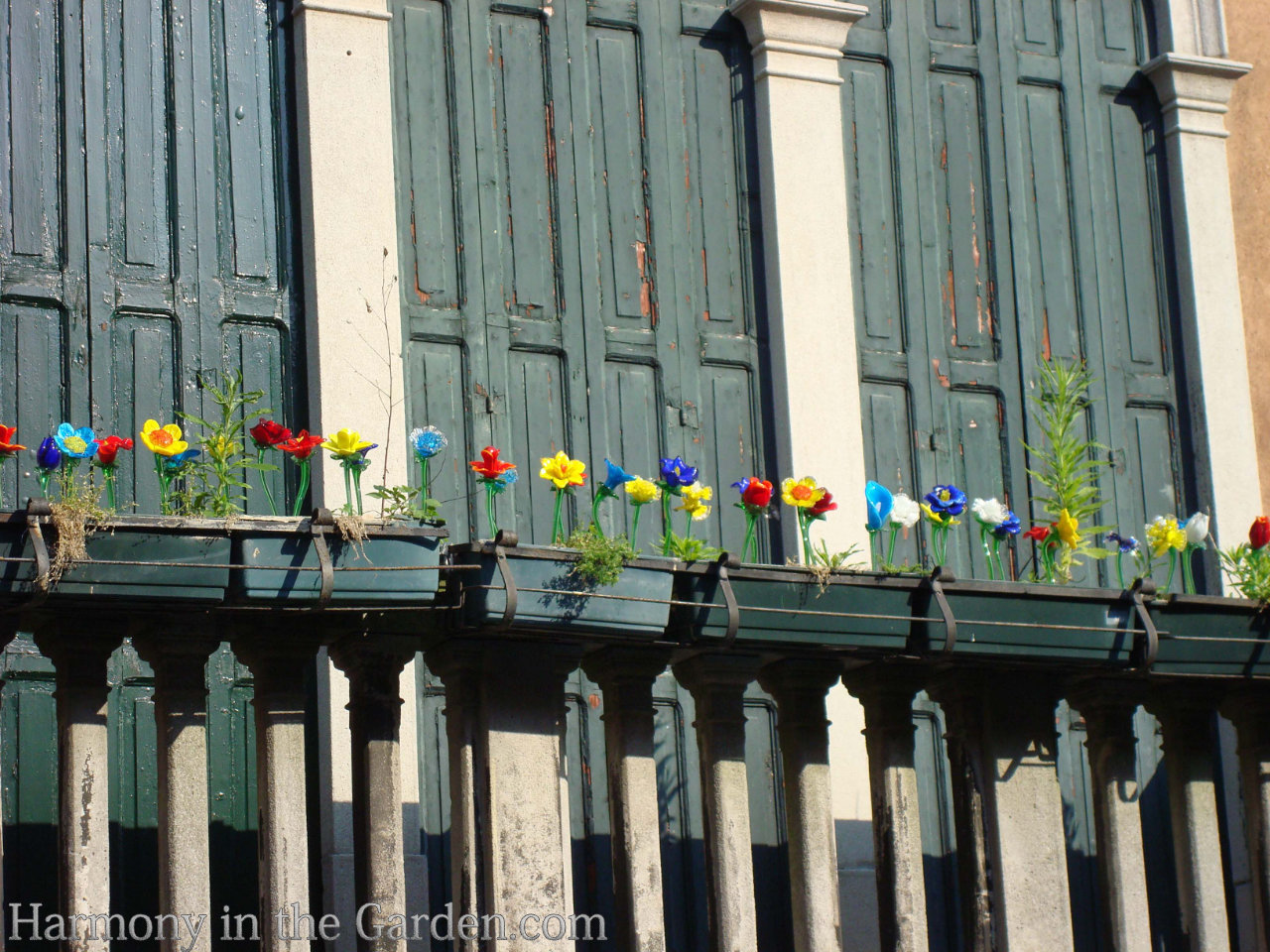 window box in Italy