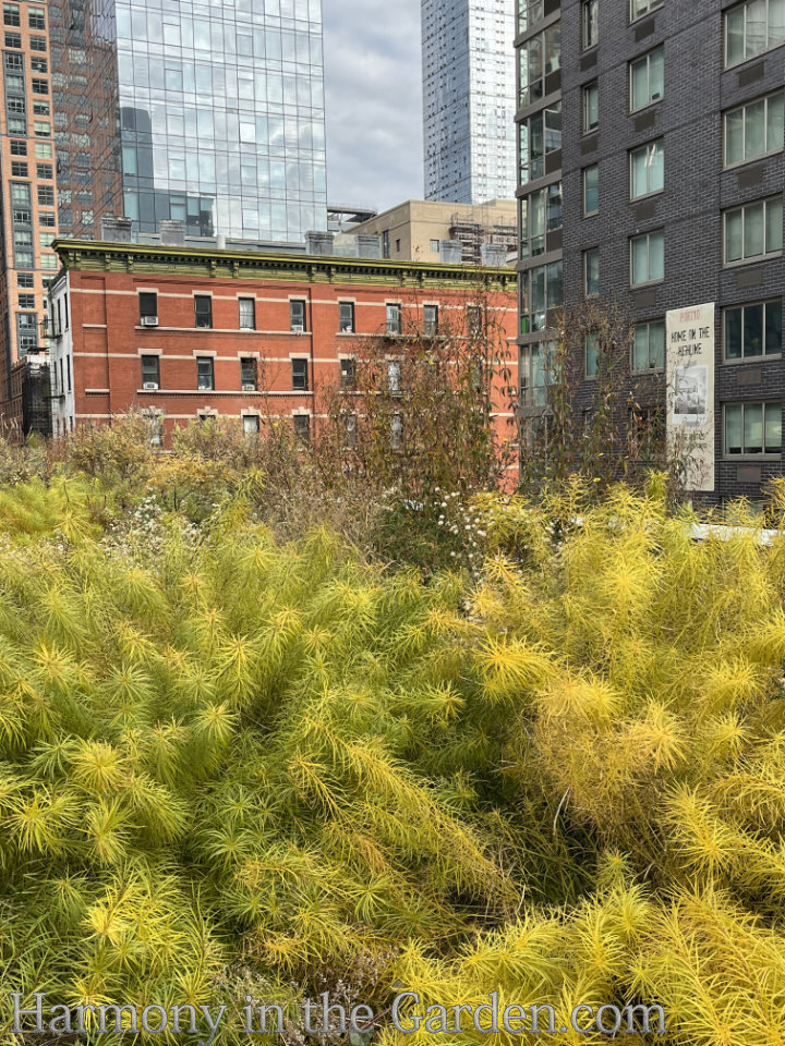 high line autumn garden