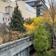 high line autumn