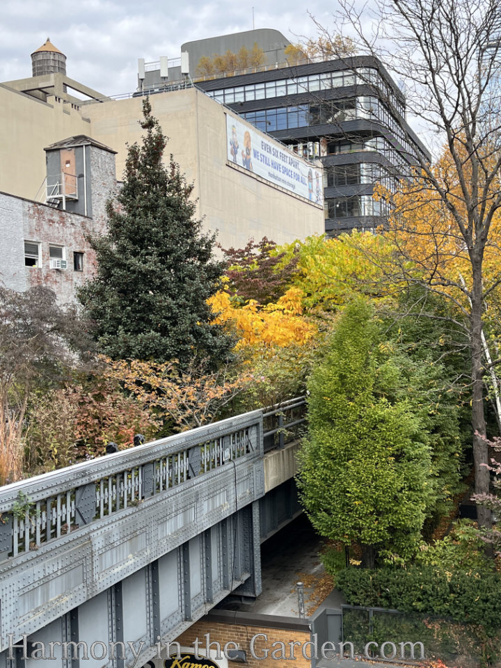 high line autumn