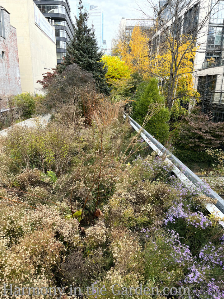 high line autumn